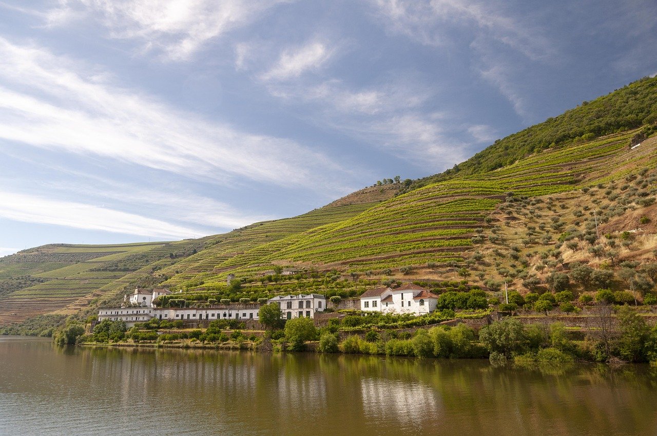 Planning Your Douro Valley Tour
