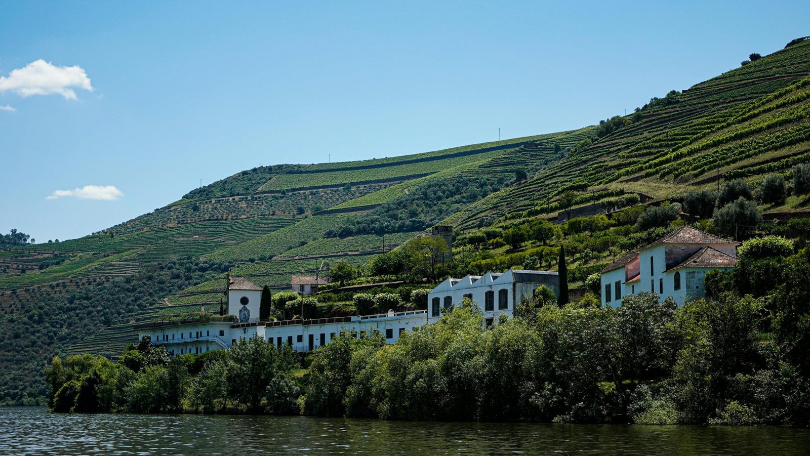 Discovering The Douro